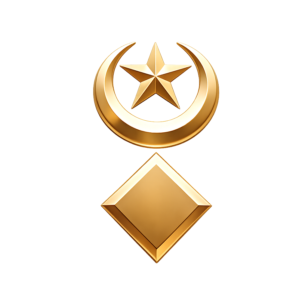 SP Rank Insignia